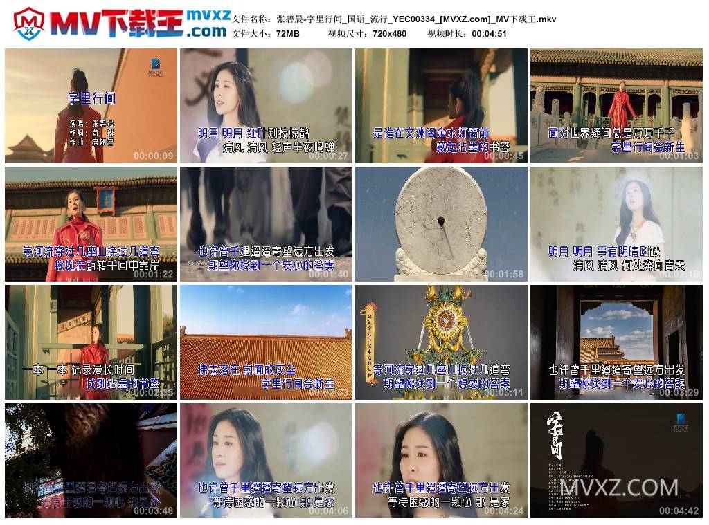 张碧晨-字里行间_国语_流行_YEC00334